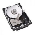 72GB, 10.000rpm, 80-pin SCA