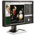 HP DreamColor LP2480zx
