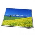 LG Philips LP156WH4(TL)(N2)