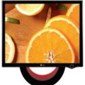 LG FLATRON L1900E-BF 19 LCD monitor