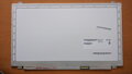 AU Optronics B156XW04 V.8