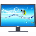 Dell E2009Wt