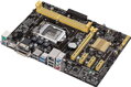 ASUS H81M-PLUS