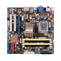 ASUS P5QPL-VM/AM