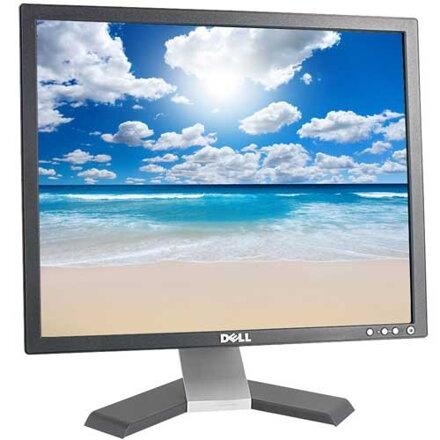Dell E198FPb