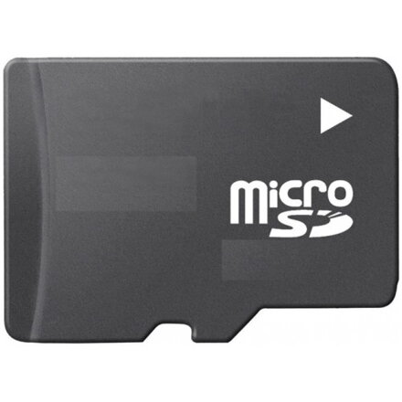 Micro SD 256MB