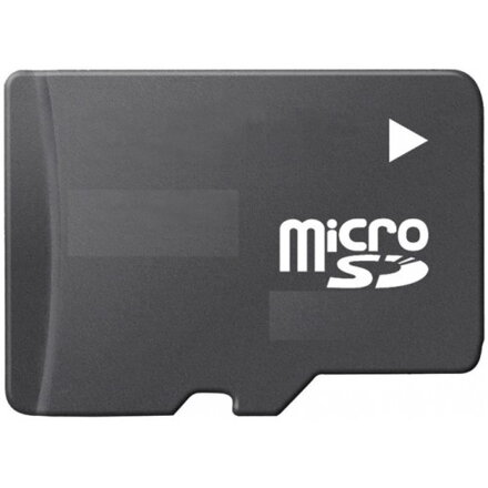 Micro SD 1GB