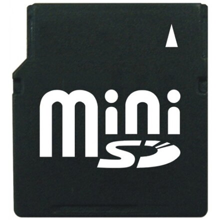 Mini SD 2GB