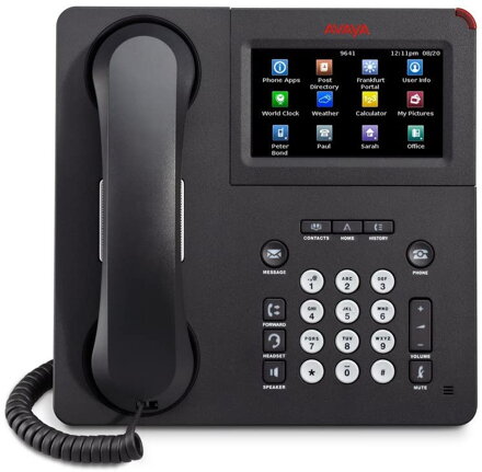 Avaya Model 9641G