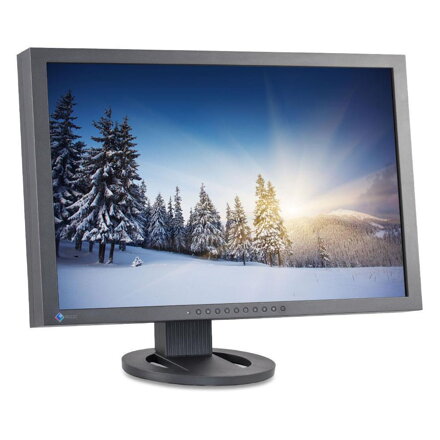 EIZO ColorEDGE CG243W 