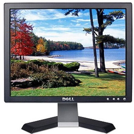 Dell E156FP