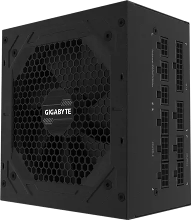 GIGABYTE P1000GM