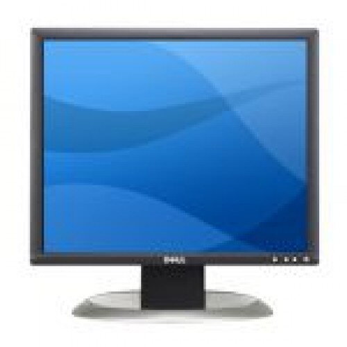 Dell 1901FP 19 LCD monitor