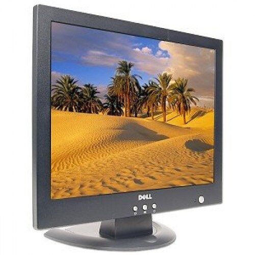Dell E151FPp Trieda B
