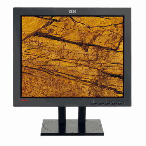 IBM ThinkVision L190P 19" LCD monitor