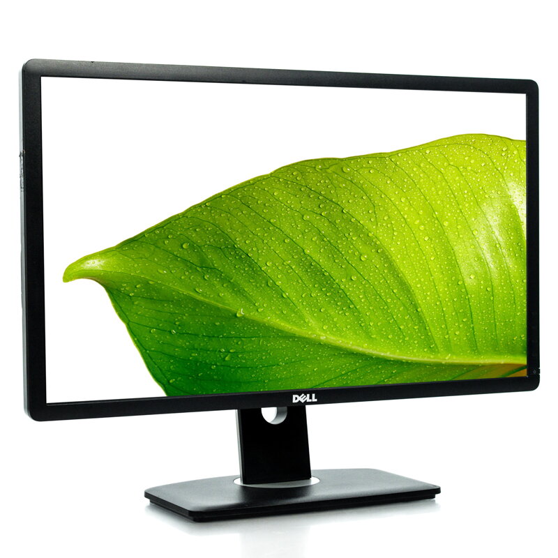 DELL Professional P2412H