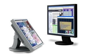 EIZO FlexScan L568 17 LCD monitor