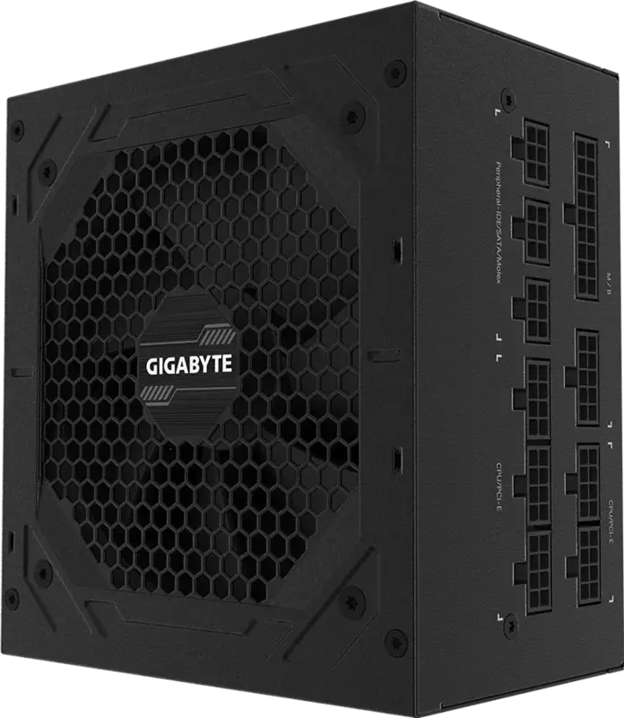 GIGABYTE P1000GM