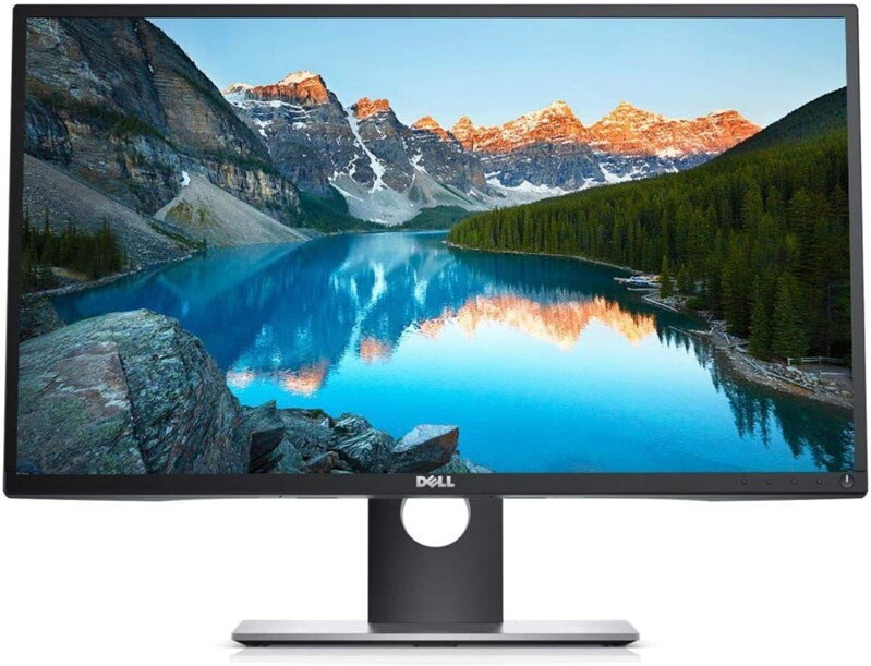 DELL Professional P2417H